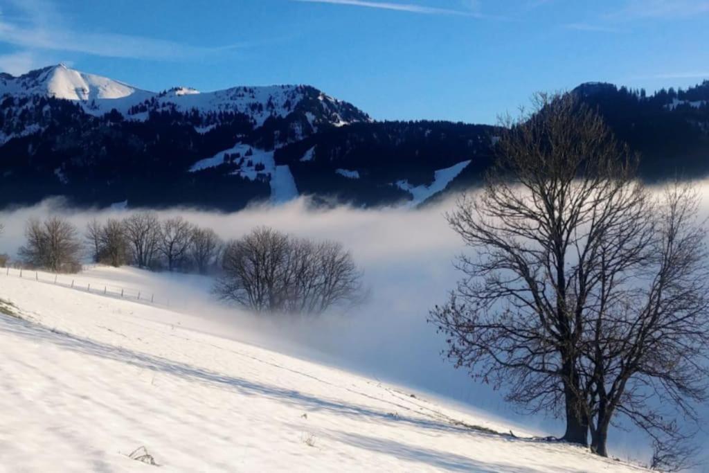 Apartament Jolie Vue Au Calme Évian-les-Bains Zewnętrze zdjęcie