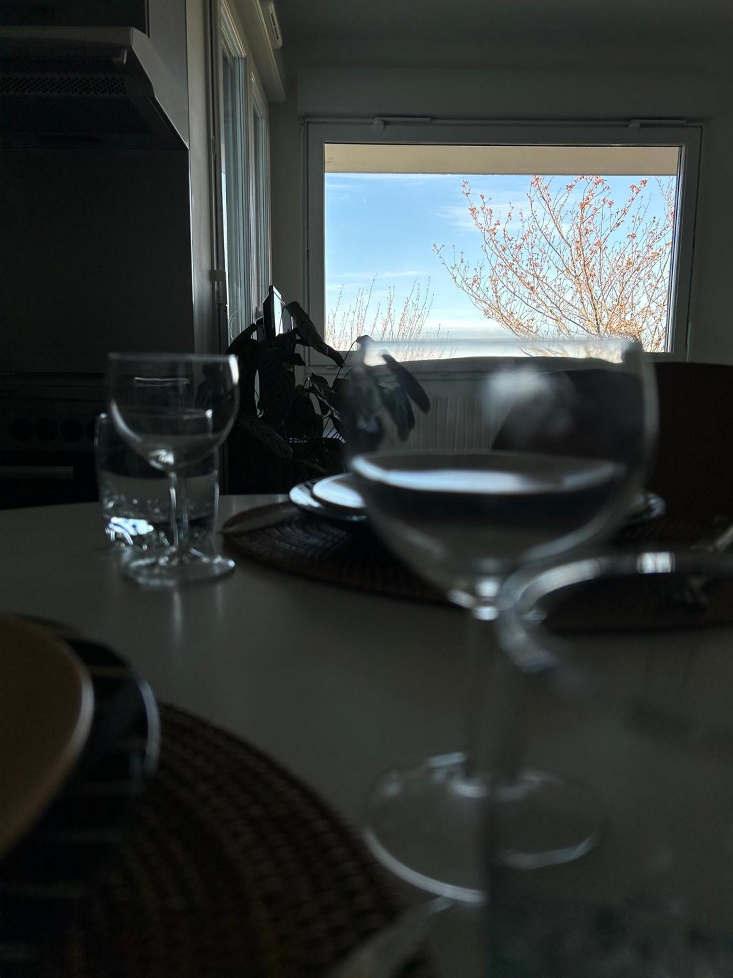 Apartament Jolie Vue Au Calme Évian-les-Bains Zewnętrze zdjęcie